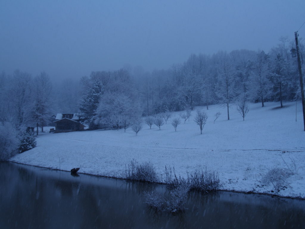 The Orchard in Snow