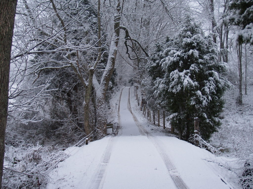 Road to the Farm