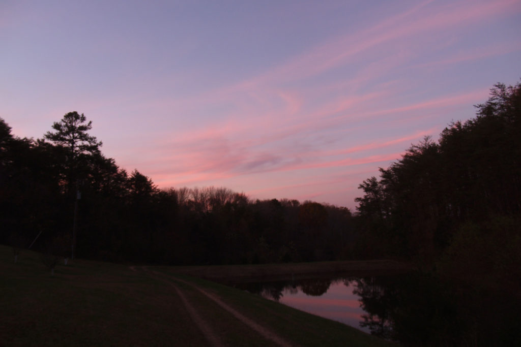 Beautiful Sky over the Pond