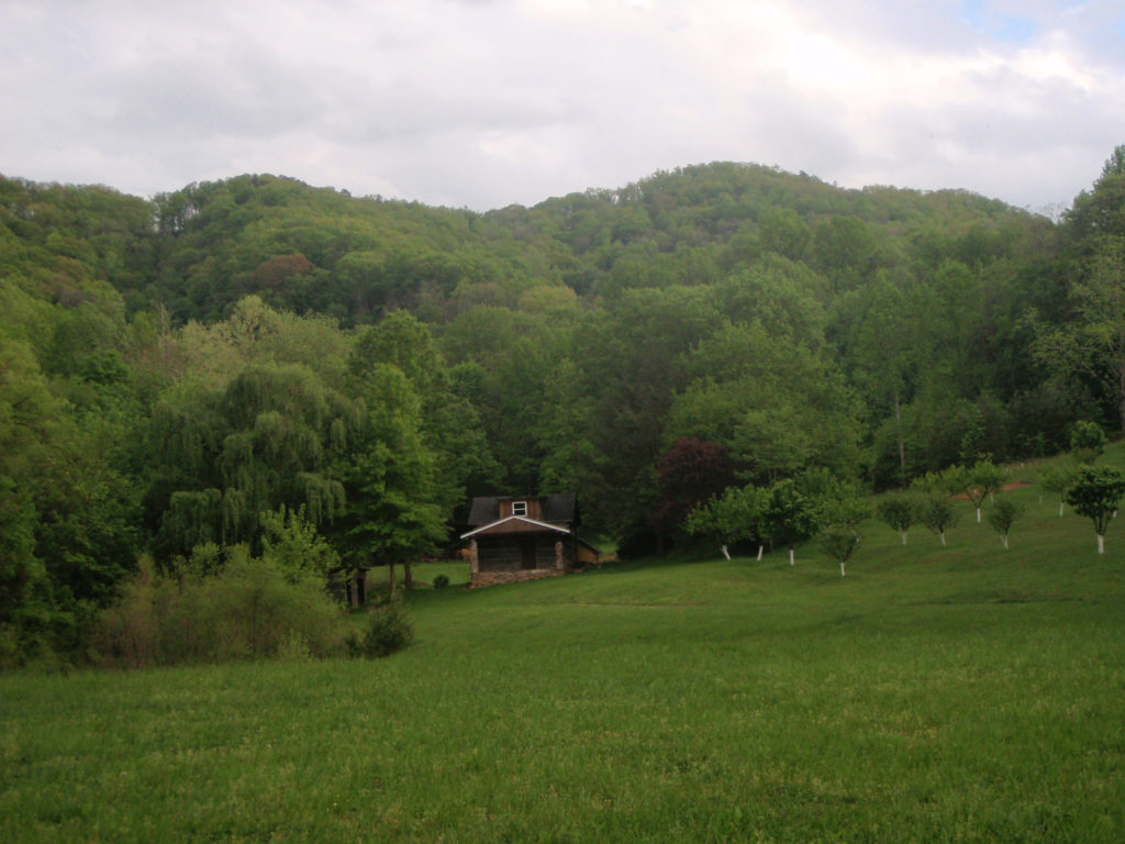 Summertime Green