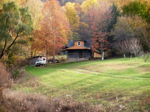 Autumn Beauty